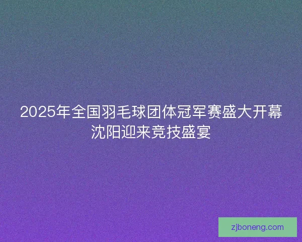 2025年全国羽毛球团体冠军赛盛大开幕沈阳迎来竞技盛宴