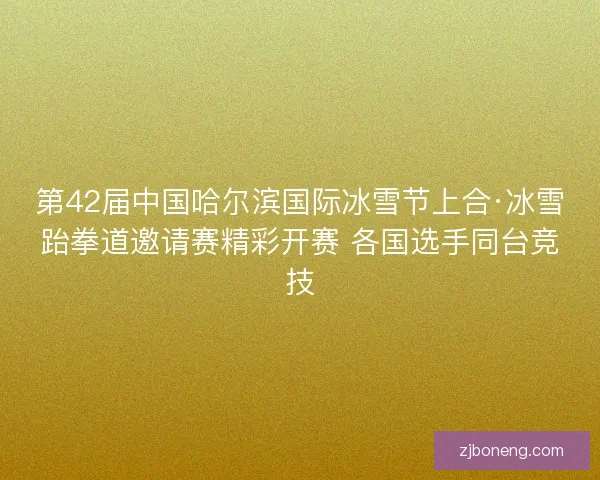 第42届中国哈尔滨国际冰雪节上合·冰雪跆拳道邀请赛精彩开赛 各国选手同台竞技
